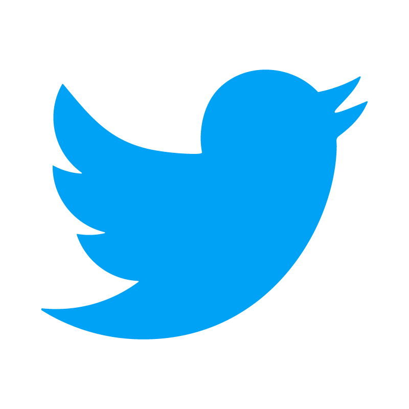 Twitter Bird Logo PNG